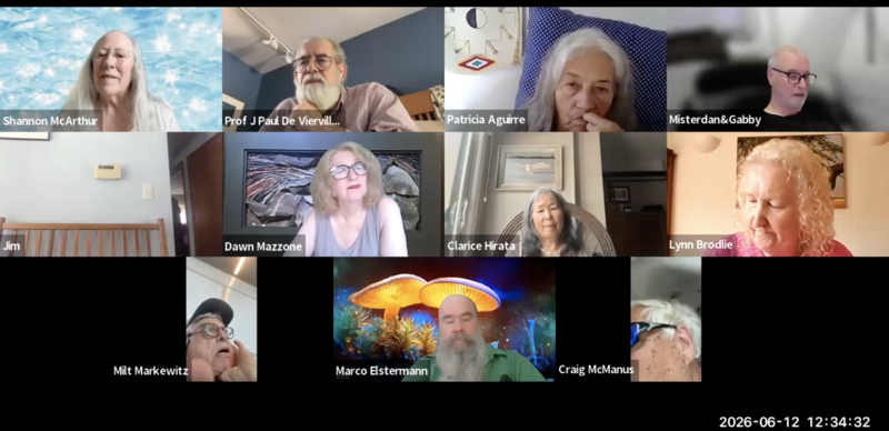 File:Chatpeople HR Day 1181.png